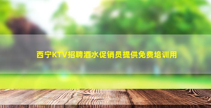 西宁KTV招聘酒水促销员提供免费培训用